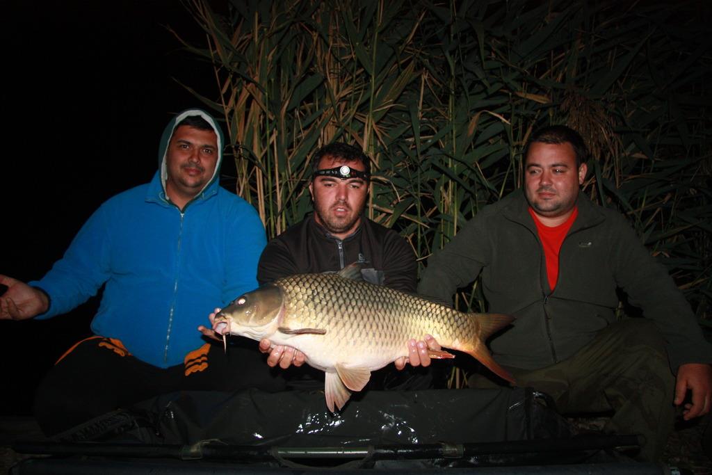 Corbu 2 - 4 octombrie 2015 - img7904.jpg